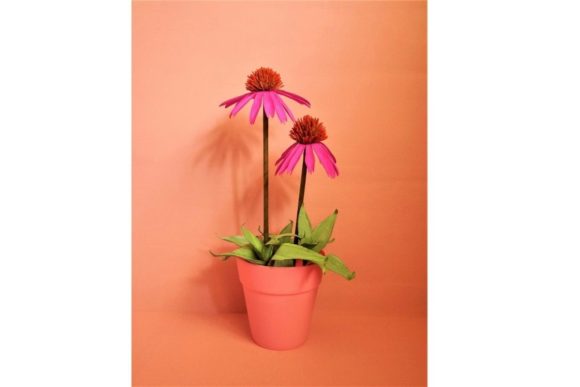 Cone Flower Paper Flower Templates: 3D SVG for Branding